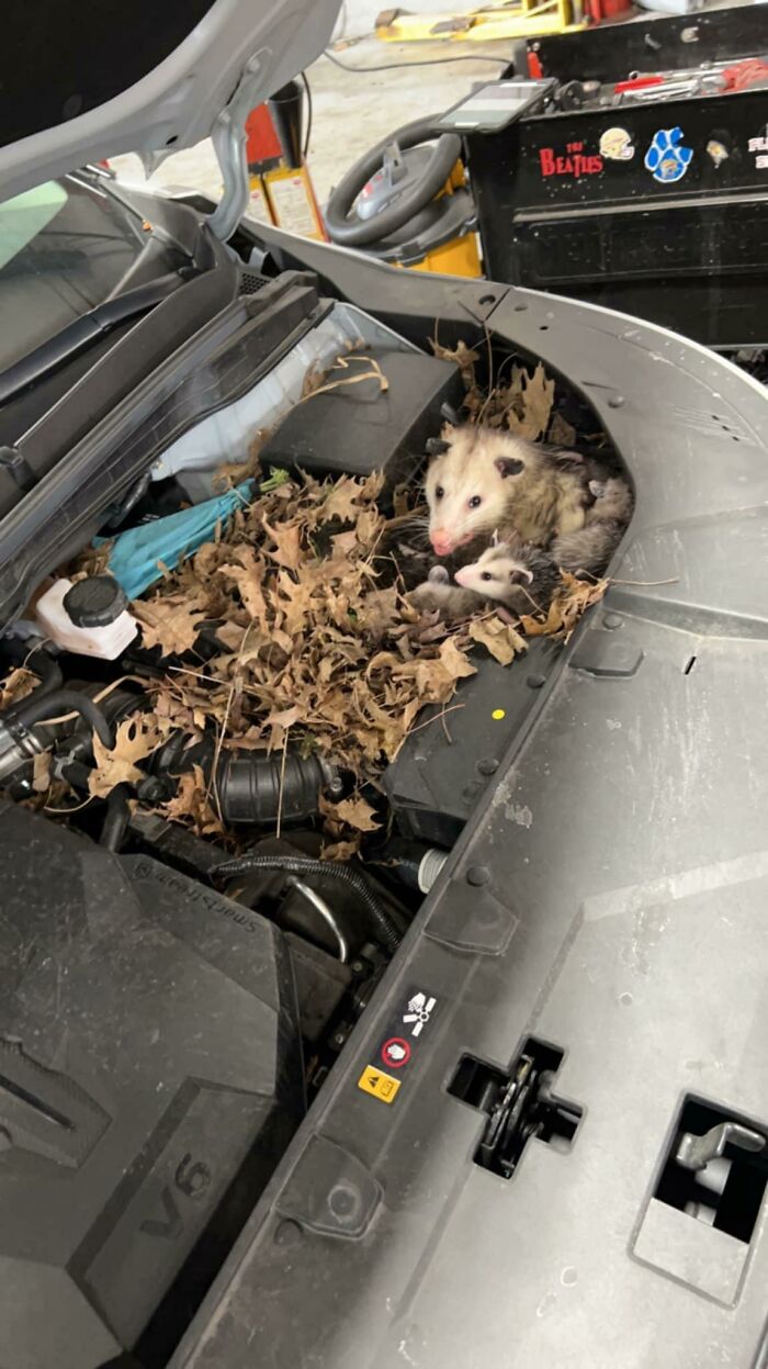 Customer States Abs/Esc And Front Radar Lights On…