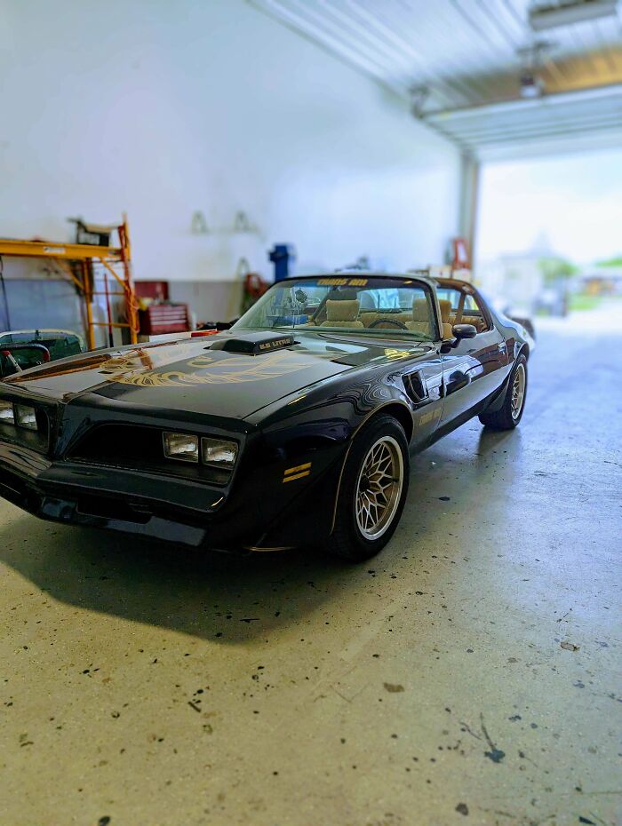 Cars Like These Always Make Saturdays Great