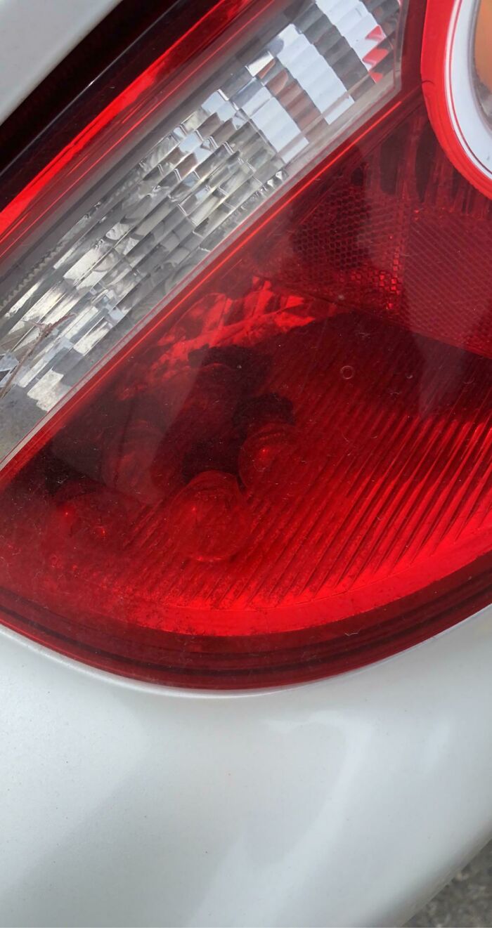 C/S Weird Rattling In Rear End And The Brake Light Is Out, Said She Tried Changing The Bulb Multiple Times