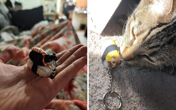 Unlock Flavor With The Sushi Cat Keychain