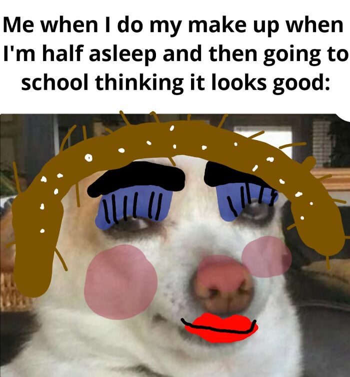 I Made This Cause I Like Memes