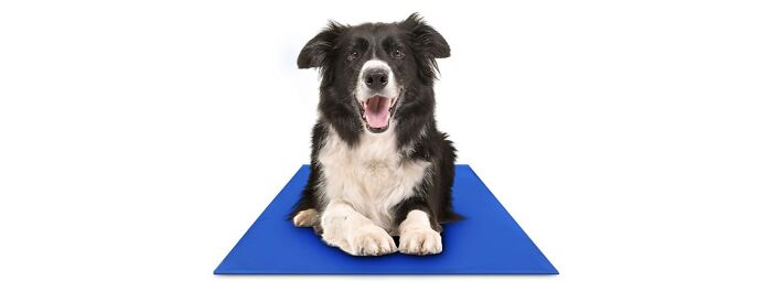 Chillz Dog Cooling Mat