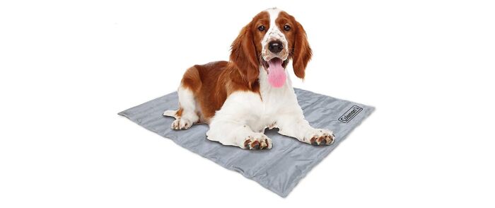 Coleman Pet Pad