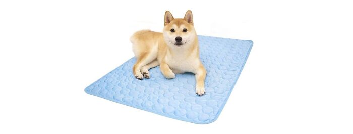 Microcosmos Cooling Mat