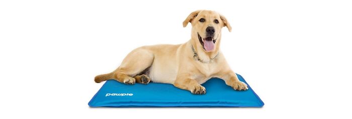 Pawple Dog Cooling Mat