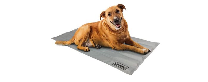 Coleman Comfort Cooling Gel Pad