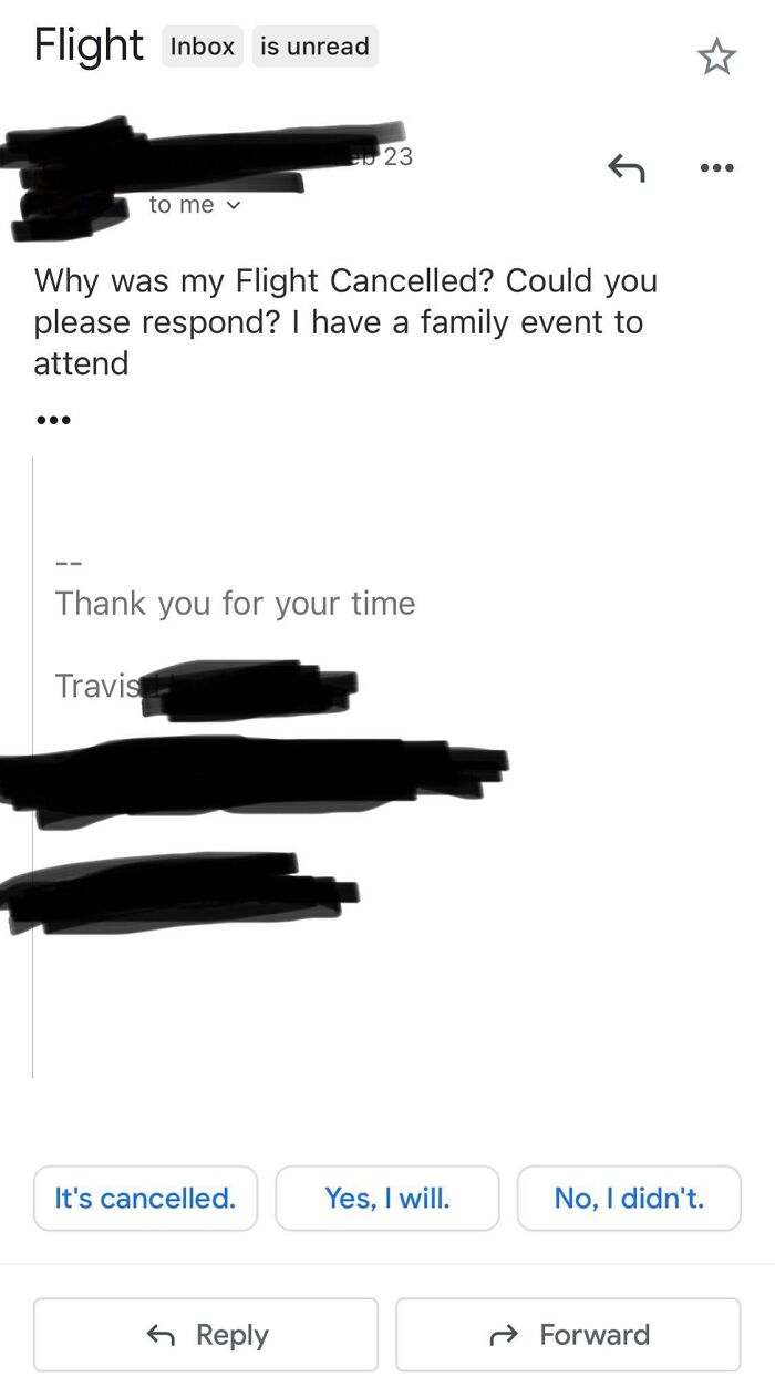 Email screenshot showing a clueless person asking why their flight was cancelled despite clear automated response options below.