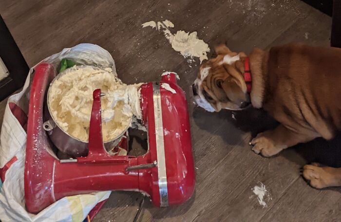 My Mixer Took Its Own Life