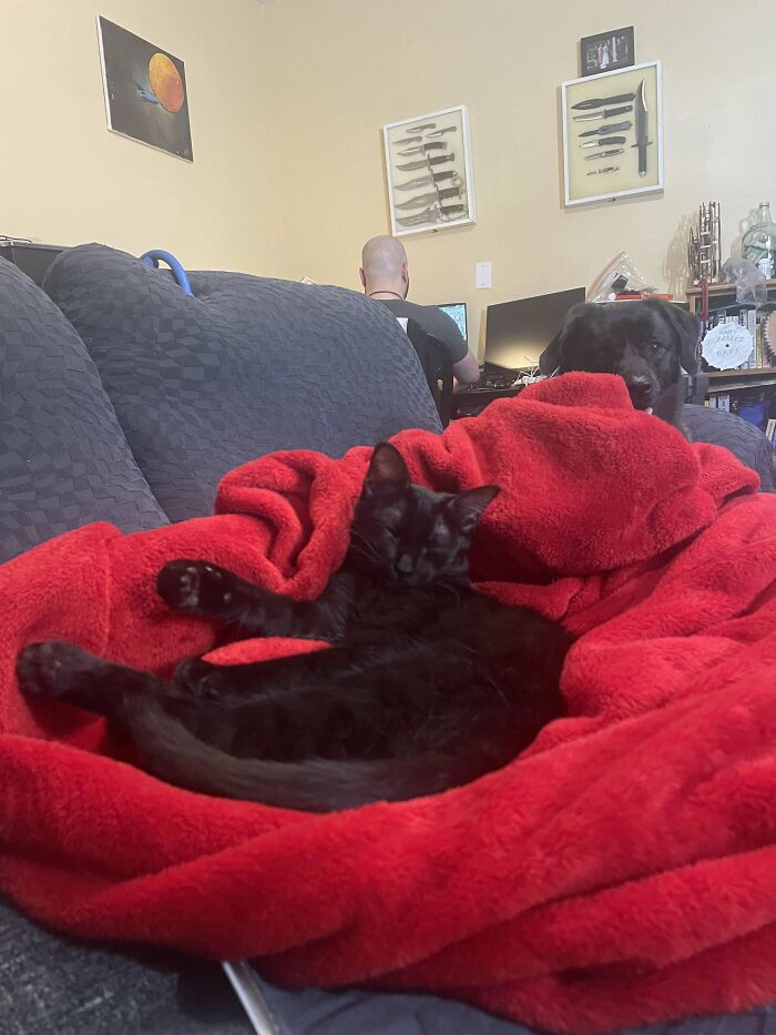 Name For Our New Baby?