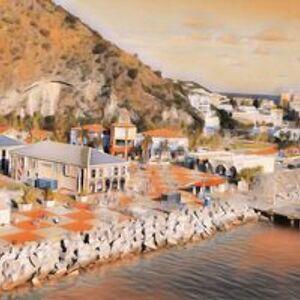 anona_wheeler avatar