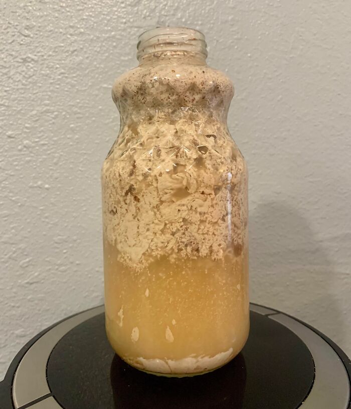 I Made Eggnog Last Night From Scratch. I Woke Up To This Monstrosity