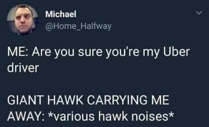 Wild-Green-Memes-Ecological-Fiends