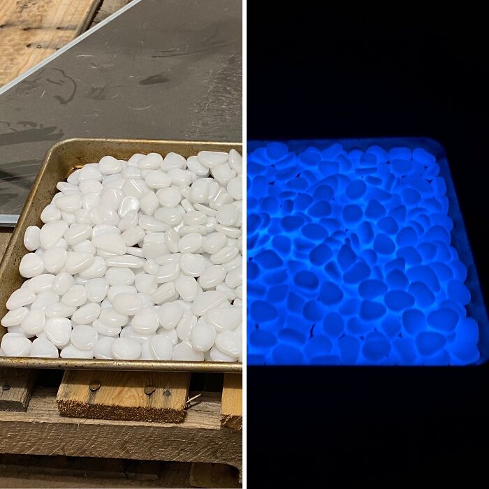 White garden stones in a tray shown in daylight and glowing blue in the dark as a low-effort garden find.