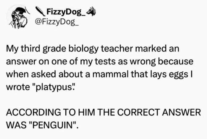 Tweet about a teacher marking platypus wrong for laying eggs, highlighting clueless people surprising others with stupidity.