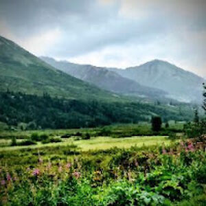 nicoleviolette avatar