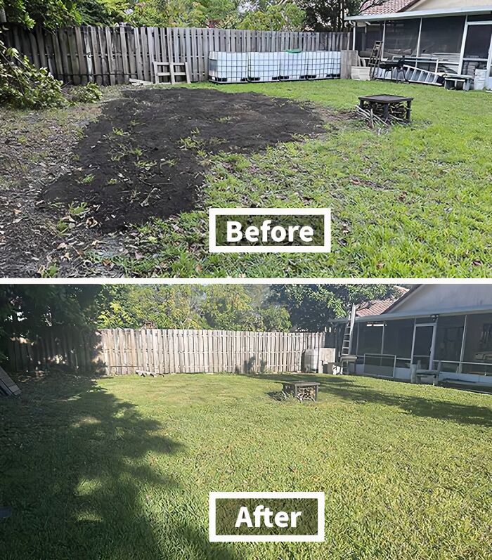 Before and after garden transformation showing low-effort garden finds for easy yard improvement with minimal gardening skills.