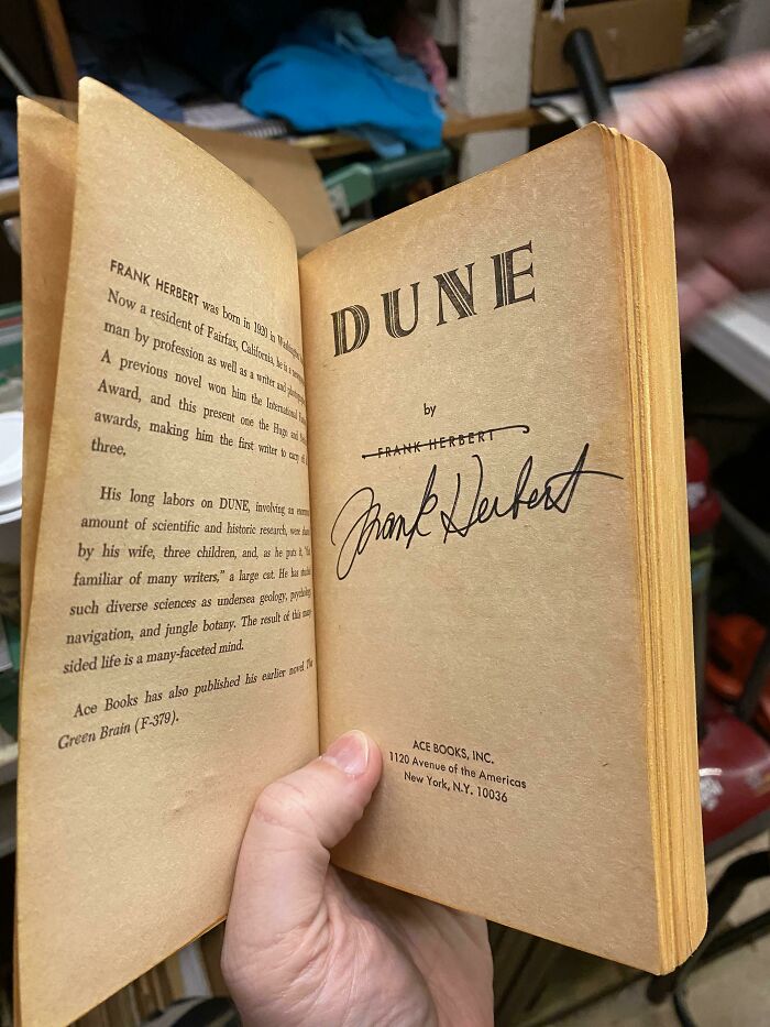 Just A Little Something Coming Through The Shop