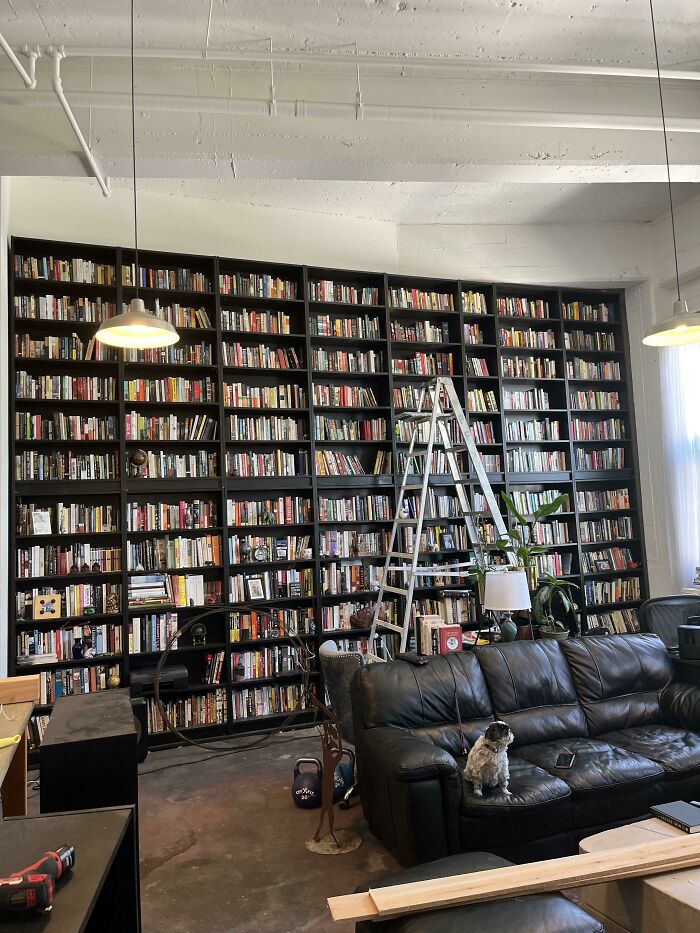 I Finally Got All My Books Unpacked. I’m So Pleased