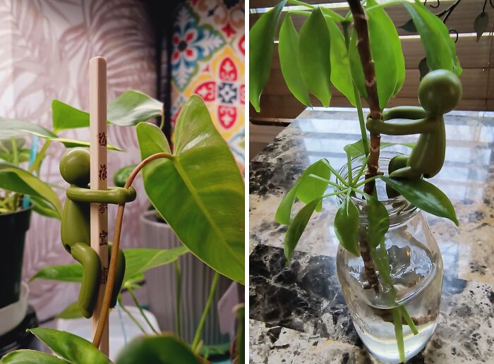 Rooting Made Cute: Get These Sweet Plant Buddies For Your Sprouts & Cuttings!