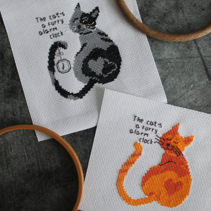 I Have Two Cats And I Know What I'm Talking About