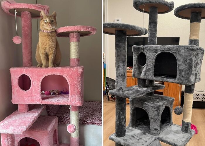 Spoil Your Feline Friend With A Cat Tree Tower Condo Furniture Scratch Post