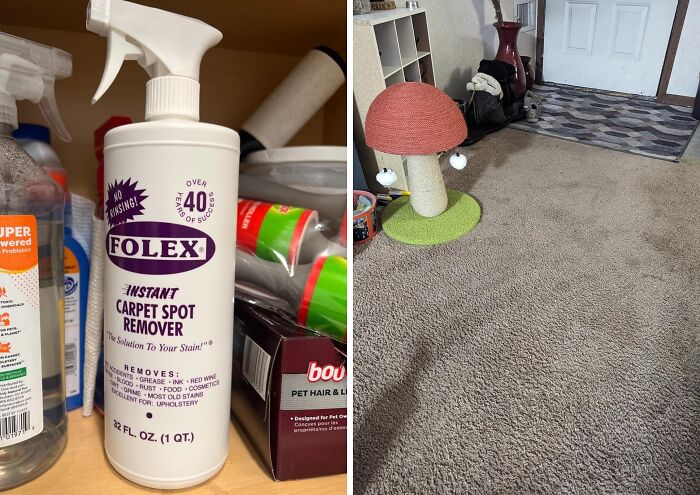 Bottle of instant carpet spot remover next to cleaning supplies and a clean carpet with a cat scratching post nearby.