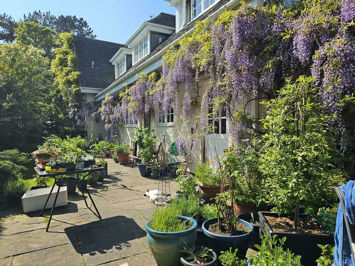 My Mum's Pride And Joy