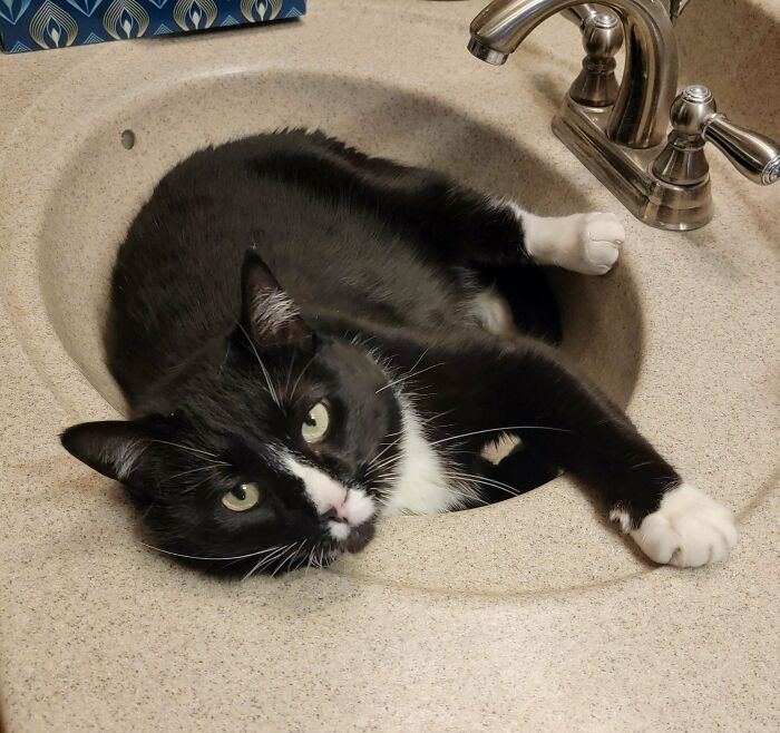 This Sweet Boy Is Settling Into His Forever Home