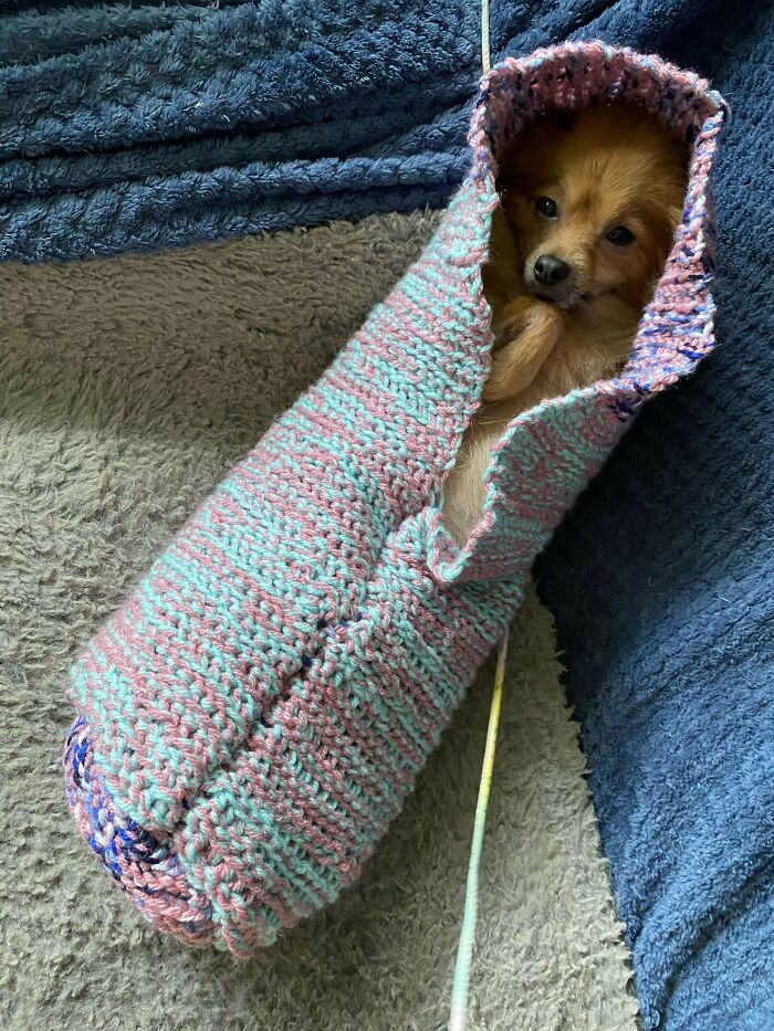 She Loves Being Burritoed So I Made Her A Snuggle Bag!