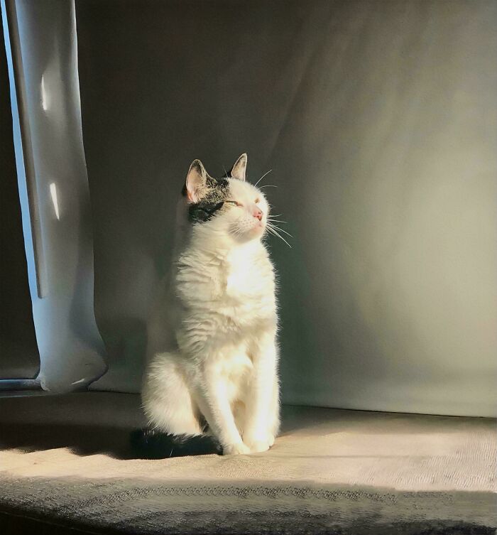 The Lady Doth Sun Herself