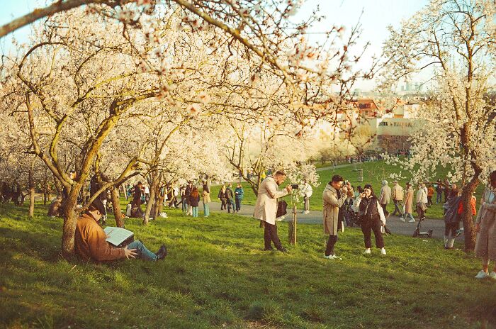 Photo I Took On My Film Cameras In Prague