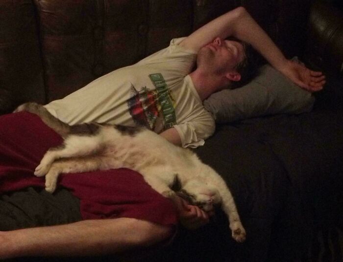 Found Them Sleeping In The Same Position