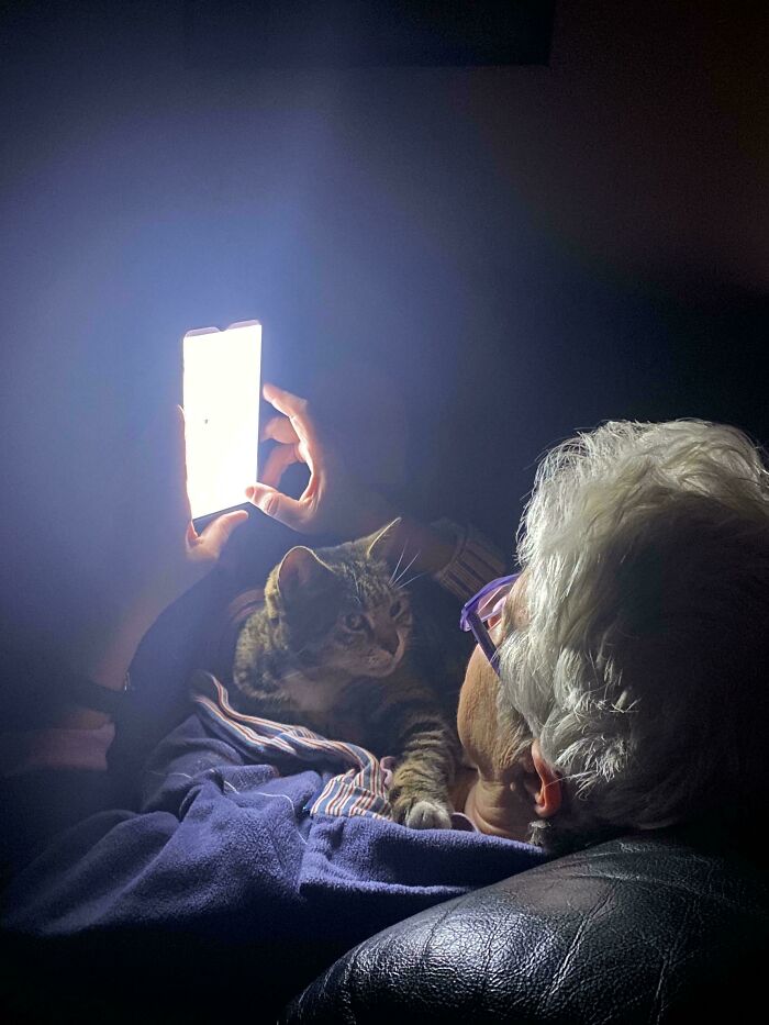 Cat And Her Favorite Person