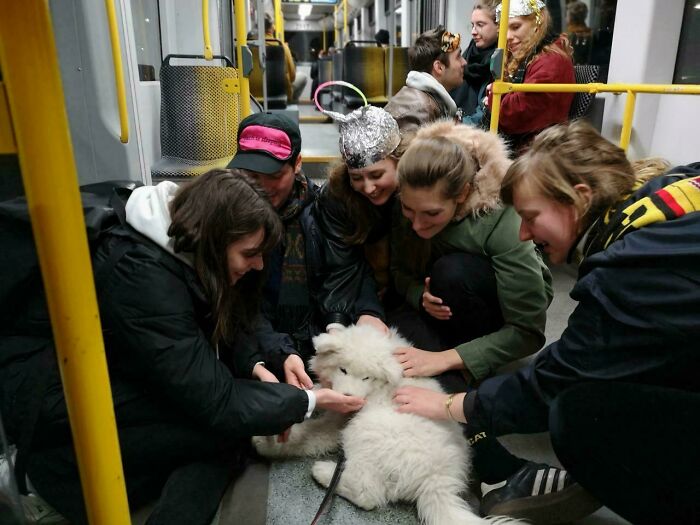 We Took The Drunk Train Home