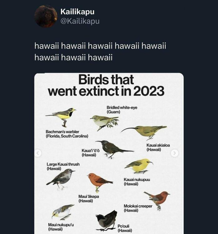 Is Tourism Becoming Toxic?