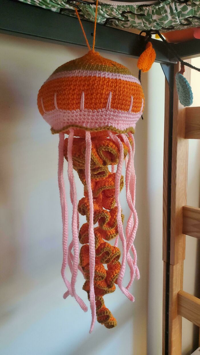 Jellyfish I'm Proud Of