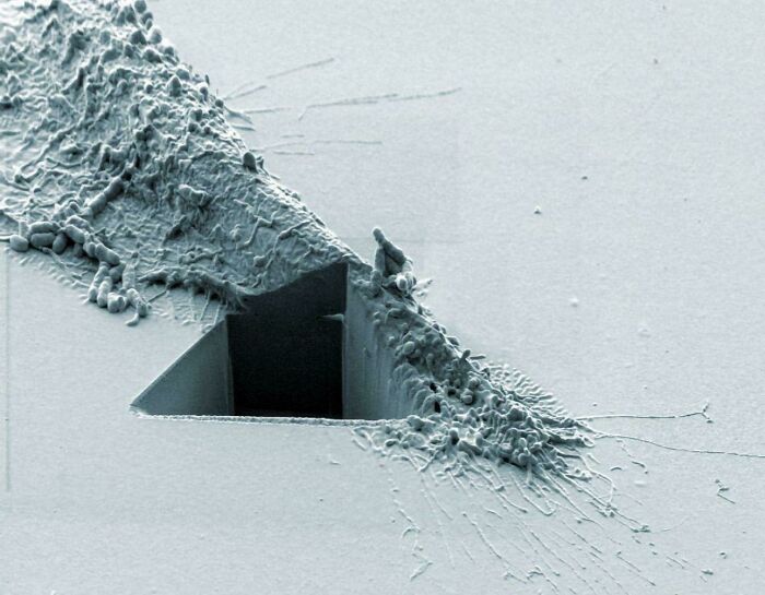 Cancer Cell Which Was Slashed Open By An Ion Beam