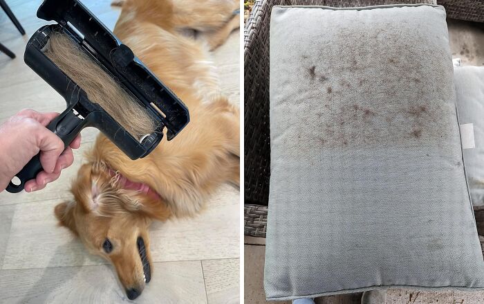 Fur-Bye To Fuzz With Chom Chom Roller Pet Hair Remover