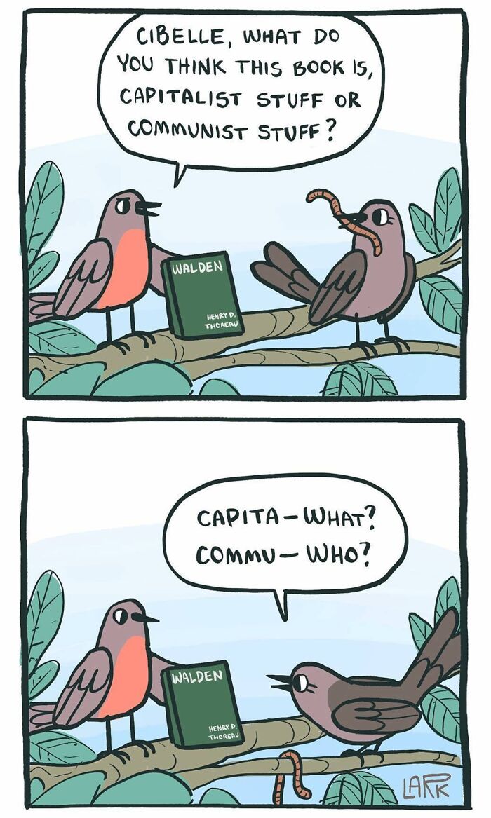 Funny Comics About A Cat Hiring Birds In His Company By This Brazilian Artist (New Pics)