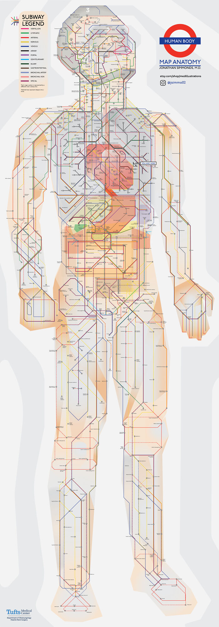 The Human Body As A Subway Map