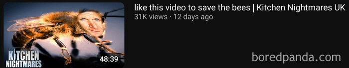 Kitchen Nightmares UK video thumbnail featuring a bee and a man's face