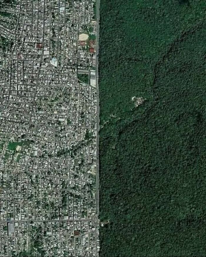 La frontera entre la ciudad brasileña de Manaus y el bosque amazónico