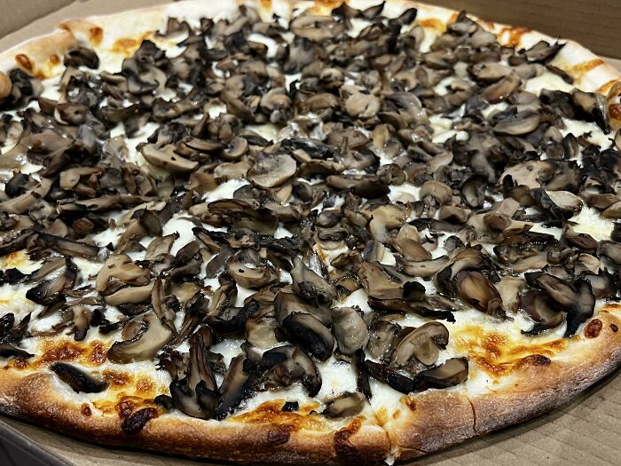 Extra mushroom pizza with a generous topping, freshly baked in a cardboard box.