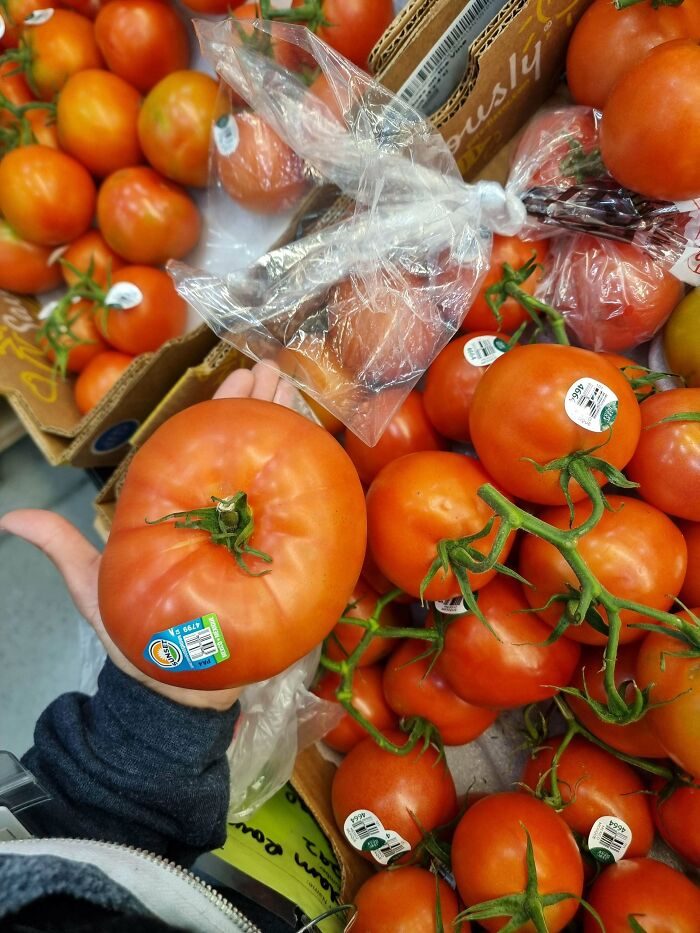 Hand holding large tomato, with a pile of vine tomatoes at a market, showcasing a food service request.