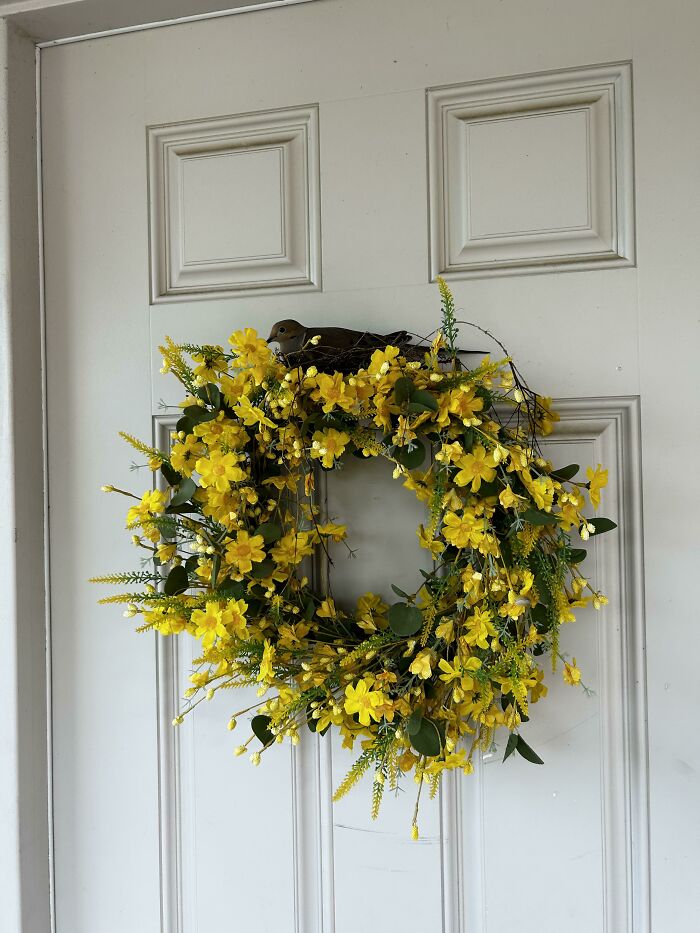 Bird sitting defiantly on a yellow floral wreath on a white door, displaying jerk-like behavior.