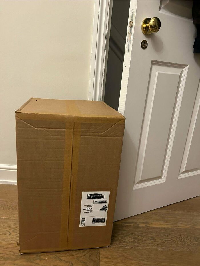 A cardboard box blocking an open door, showcasing a humorous and delightfully British moment.