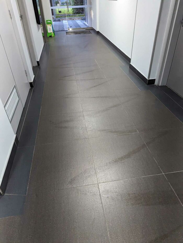 Cleaner Used Haste: It Was Super Effective