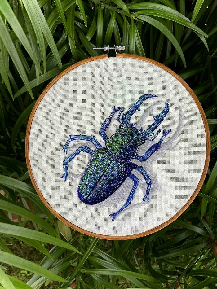 Decided To Mix Things Up And Try Out A Beetle! Loved Working With Some Beads And Metallic Threads, On A 8” Hoop. This One Was Fun