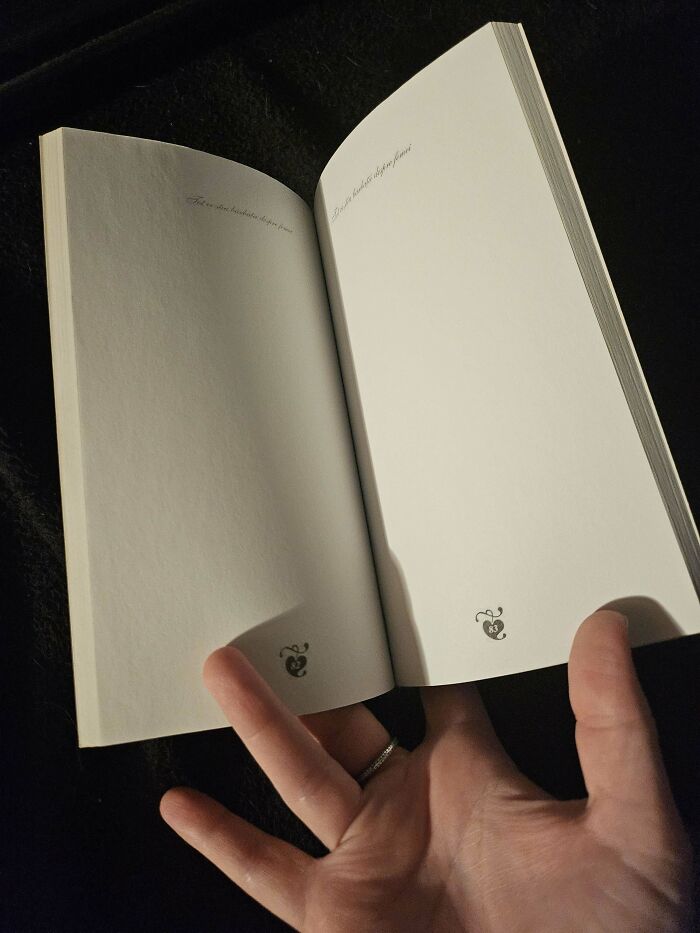 Hand holding an open book with blank pages, illustrating male authors' limited understanding of women.