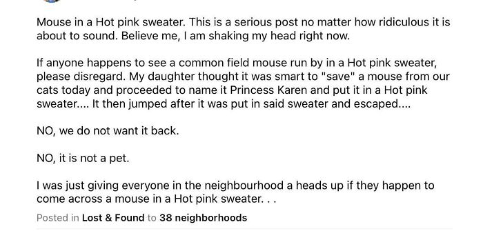 Ridiculous NextDoor post about a field mouse in a hot pink sweater causing neighborhood confusion.